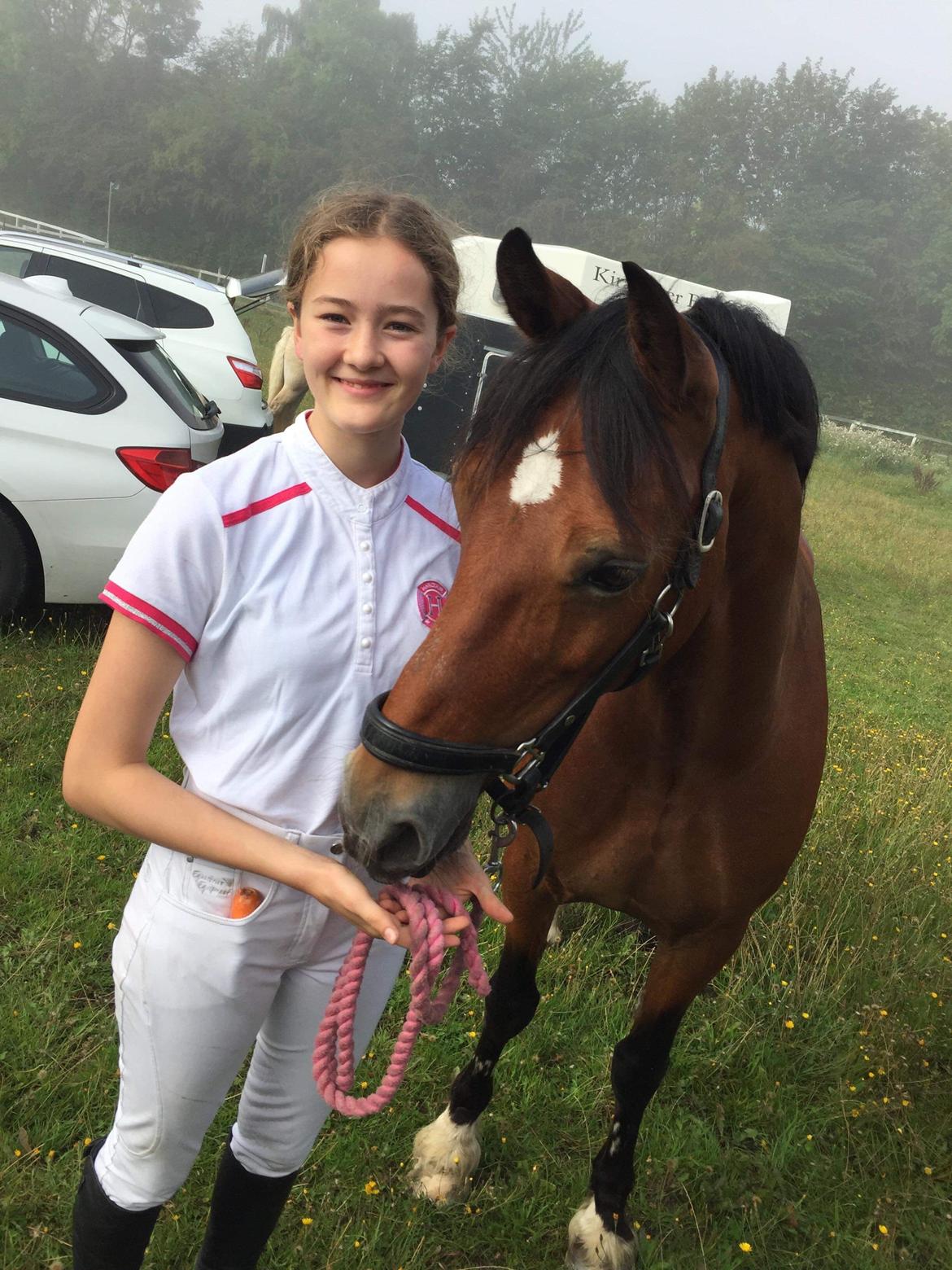 Welsh Cob (sec D) Mailunds abigail billede 1