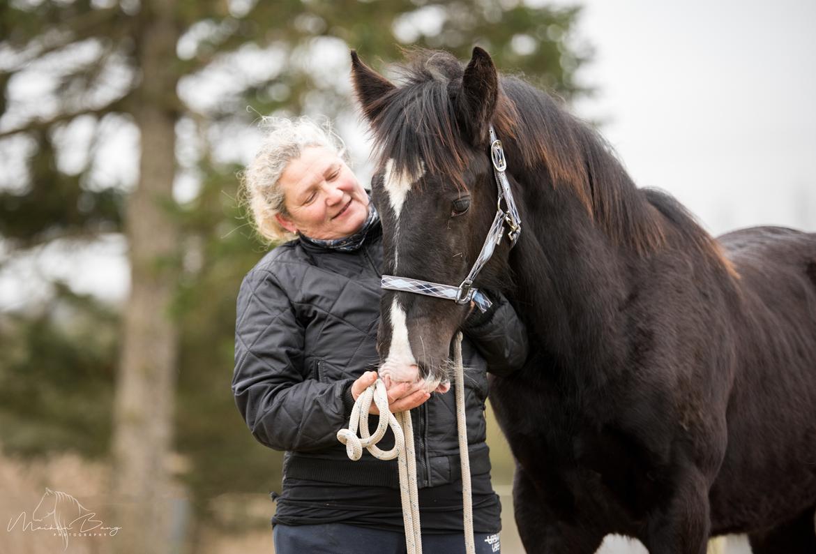 Shire Ørsteds cehra  - 26 jan 2020  billede 18