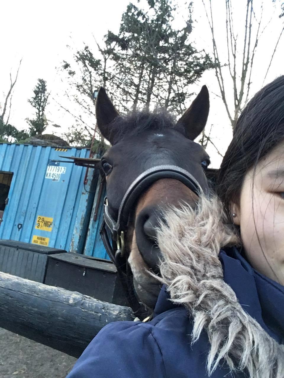 New Forest Charming Valentine - "nøj, hvad er det"-Valentin billede 7