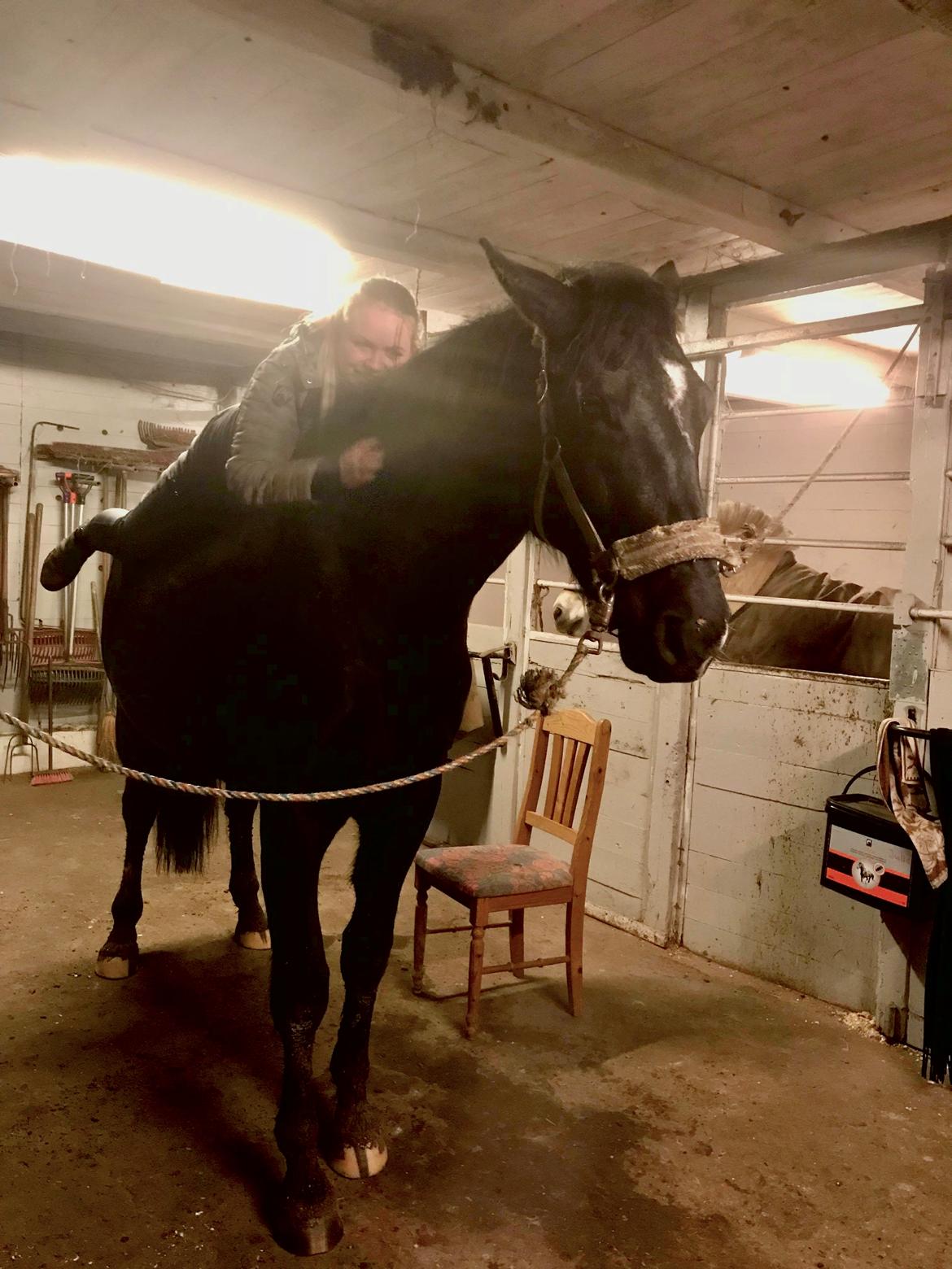 Oldenborg Matinique af strandhøjgaard billede 12