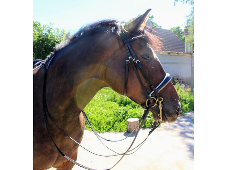 {{currentPhoto.altText}} billede {{currentPhoto.number}}