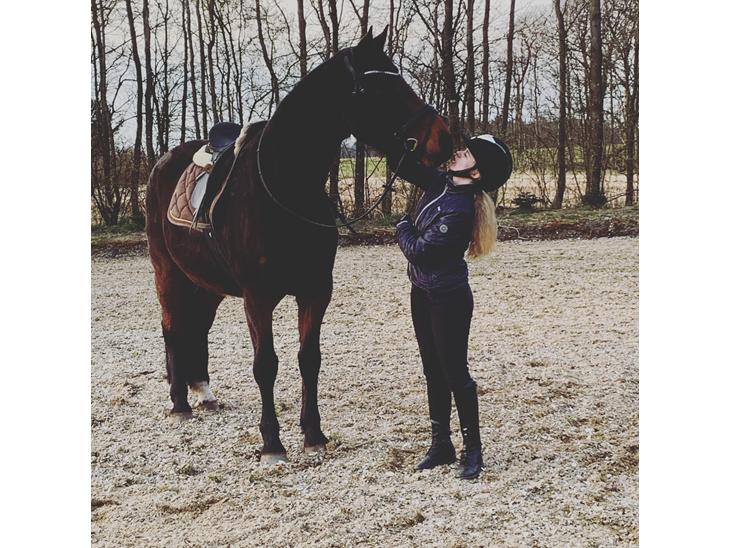 {{currentPhoto.altText}} billede {{currentPhoto.number}}