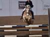 Haflinger Sander 
