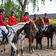 Tysk Sportspony Kyesgårds Zeldana