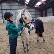 Fjordhest Oblings Frida