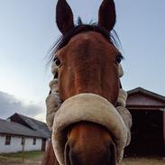 Traver Do The Business