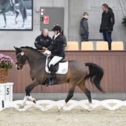 DSP Patrik af hvarre