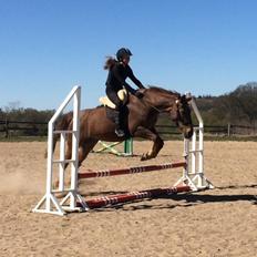 Anden særlig race Kalinka 