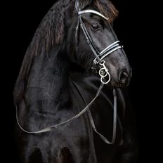 Frieser Stålkærgaards Fritz