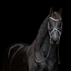 Frieser Stålkærgaards Fritz