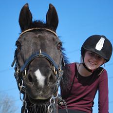 DSP Vasehøjs Lancelot