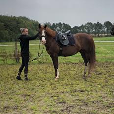 Anden særlig race Millinia