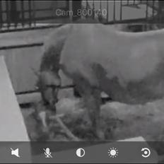 Frederiksborg Wedes Grot Fra Fogedgaard 