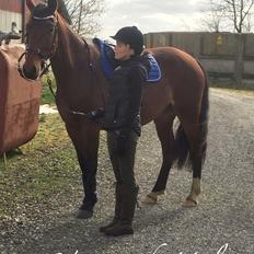 Frederiksborg Vestergårds Molann