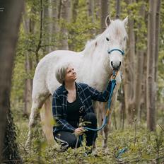 Anden særlig race Dino Soleil