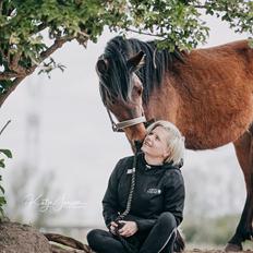 Welsh Partbred (Sec F) DJ Malthe Soleil