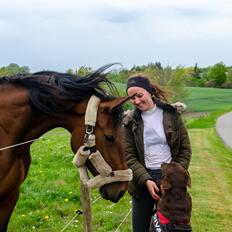 Traver Do The Business