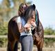 Welsh Cob (sec D) | Valhallas Mabon Mai