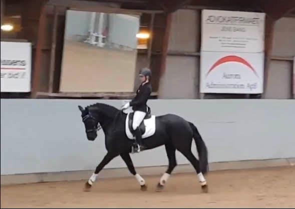 Frieser Norma billede 1