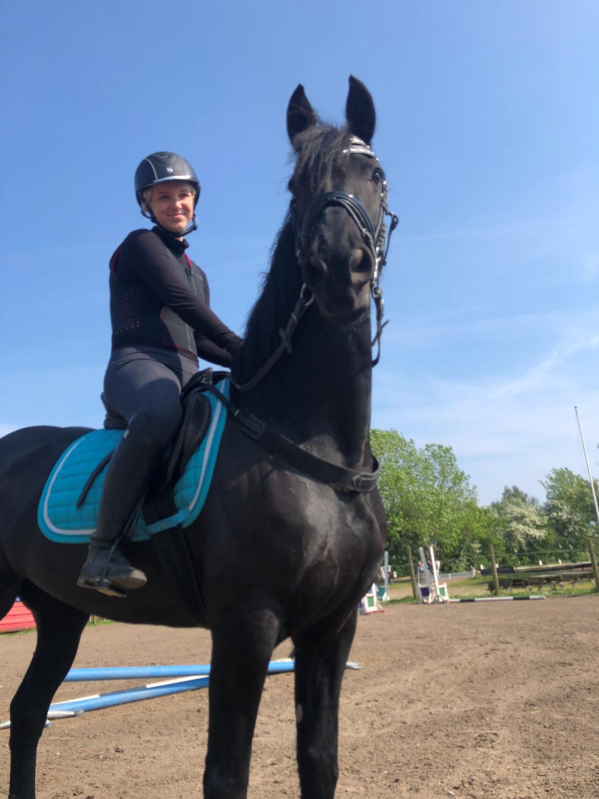 Frieser Norma billede 5