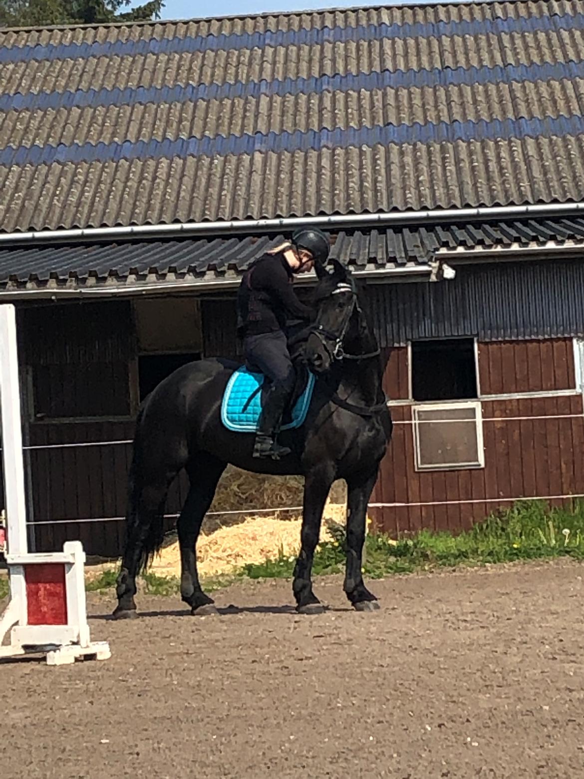 Frieser Norma billede 6