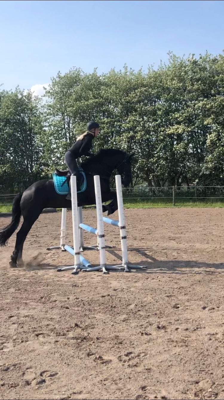 Frieser Norma billede 7