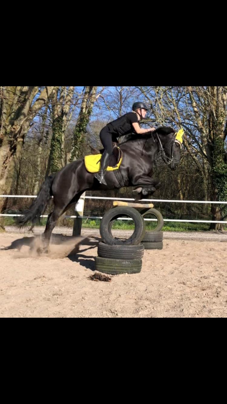 Frieser Norma billede 11