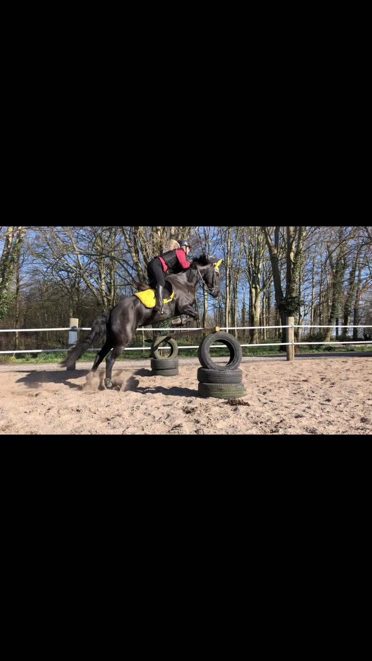 Frieser Norma billede 12