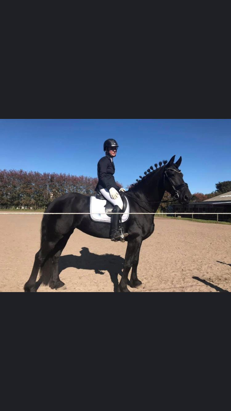 Frieser Norma billede 10