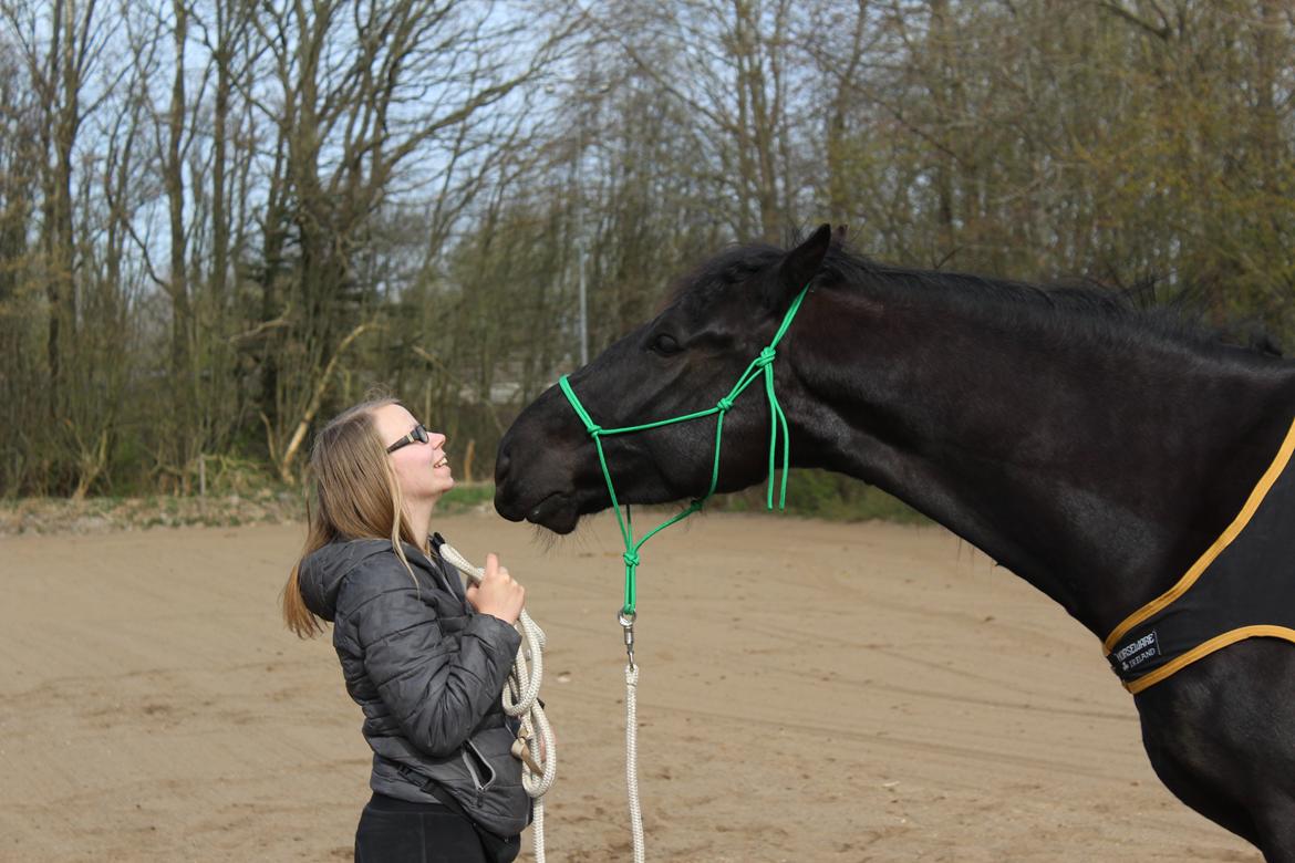 Oldenborg Sambo (Joey) billede 15