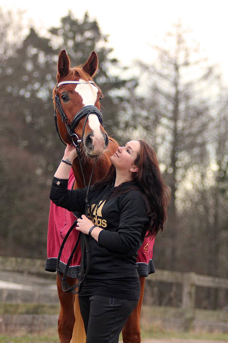 Dansk Varmblod Fürsten-star billede 13