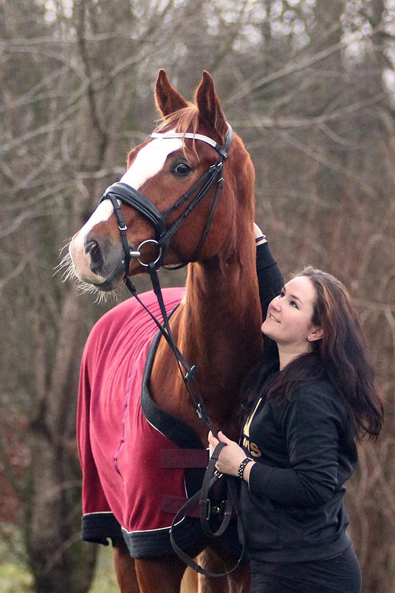 Dansk Varmblod Fürsten-star billede 15