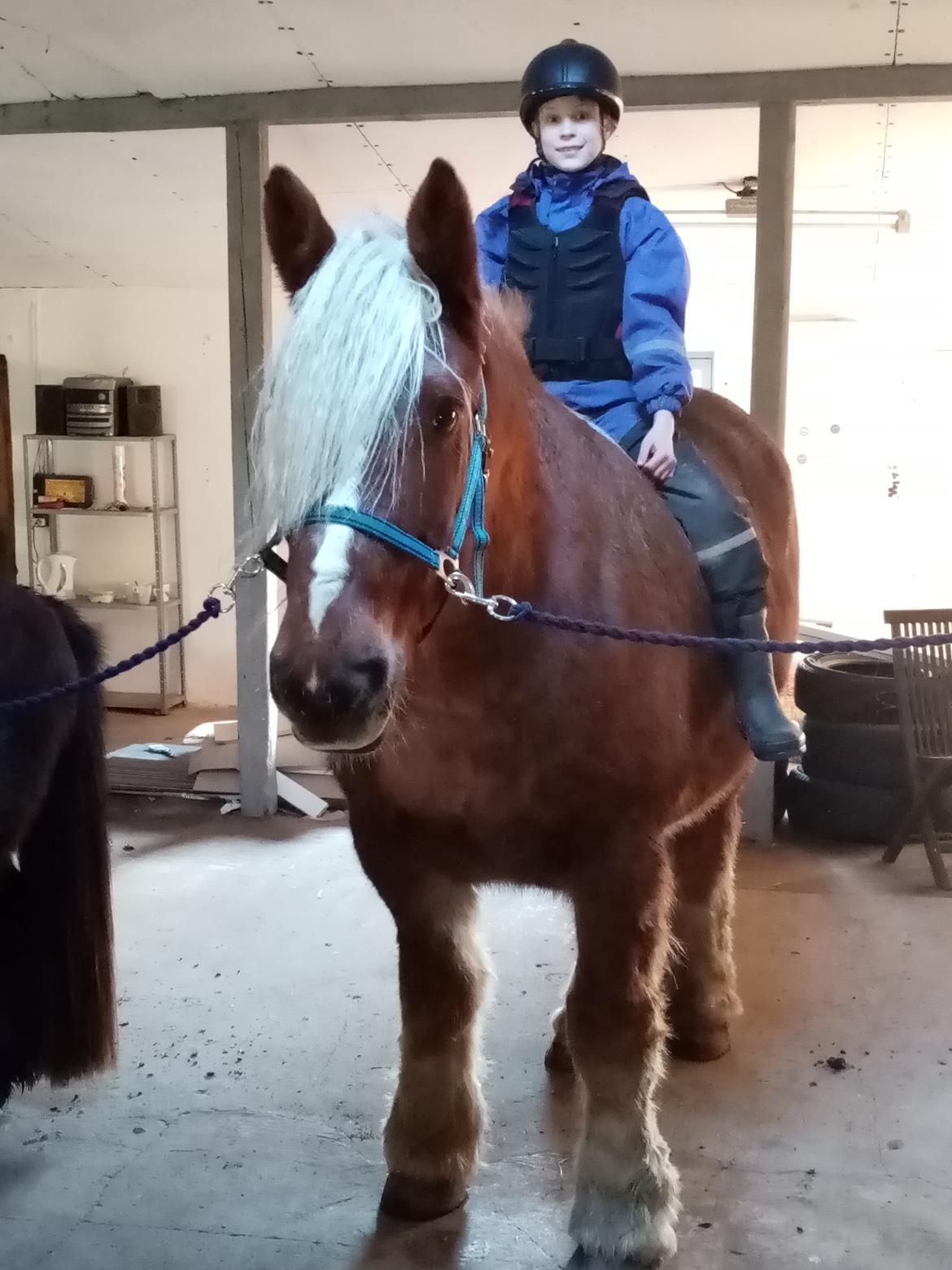 Schleswiger Hertug solgt  billede 2