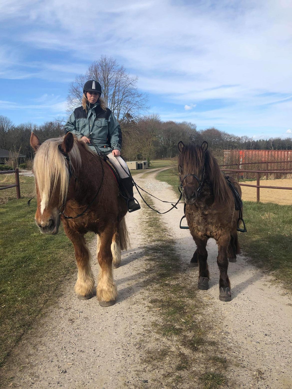 Schleswiger Hertug solgt  billede 3