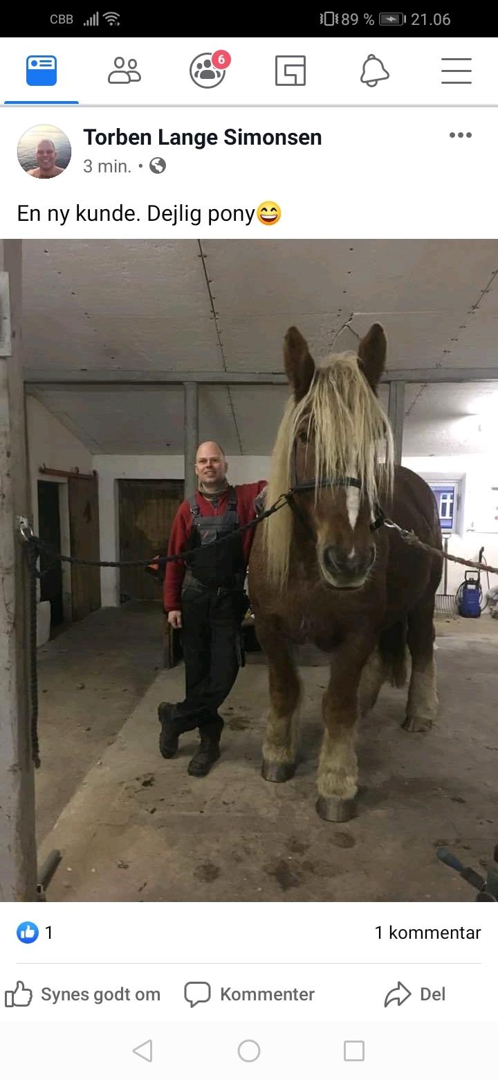 Schleswiger Hertug solgt  billede 4