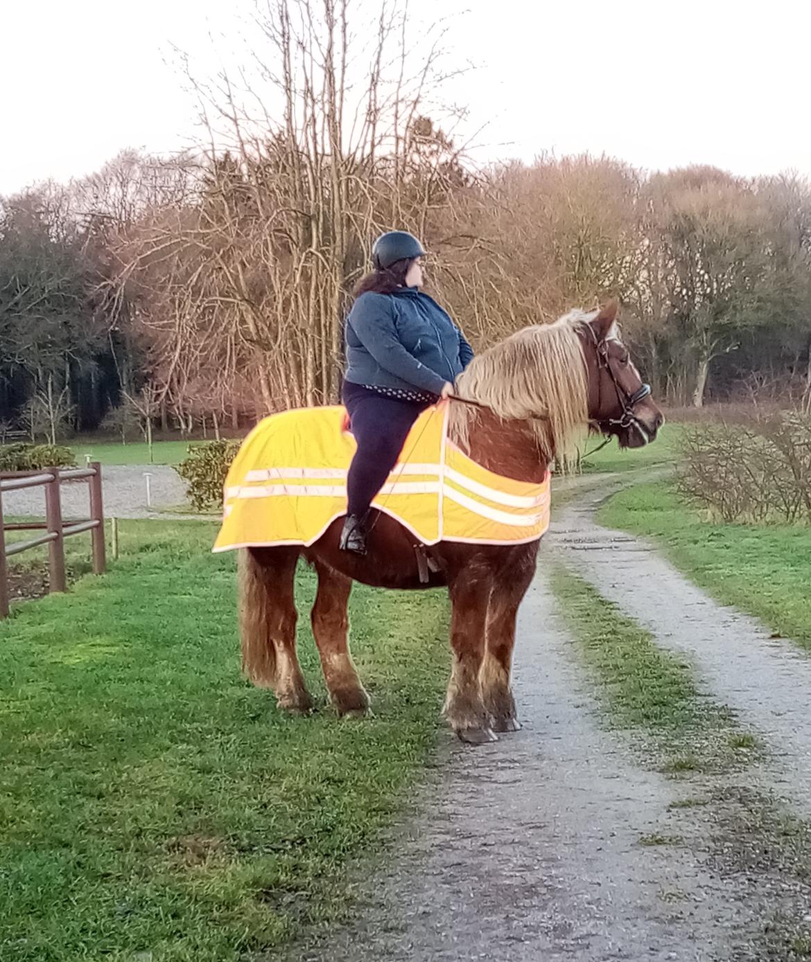 Schleswiger Hertug solgt  billede 6