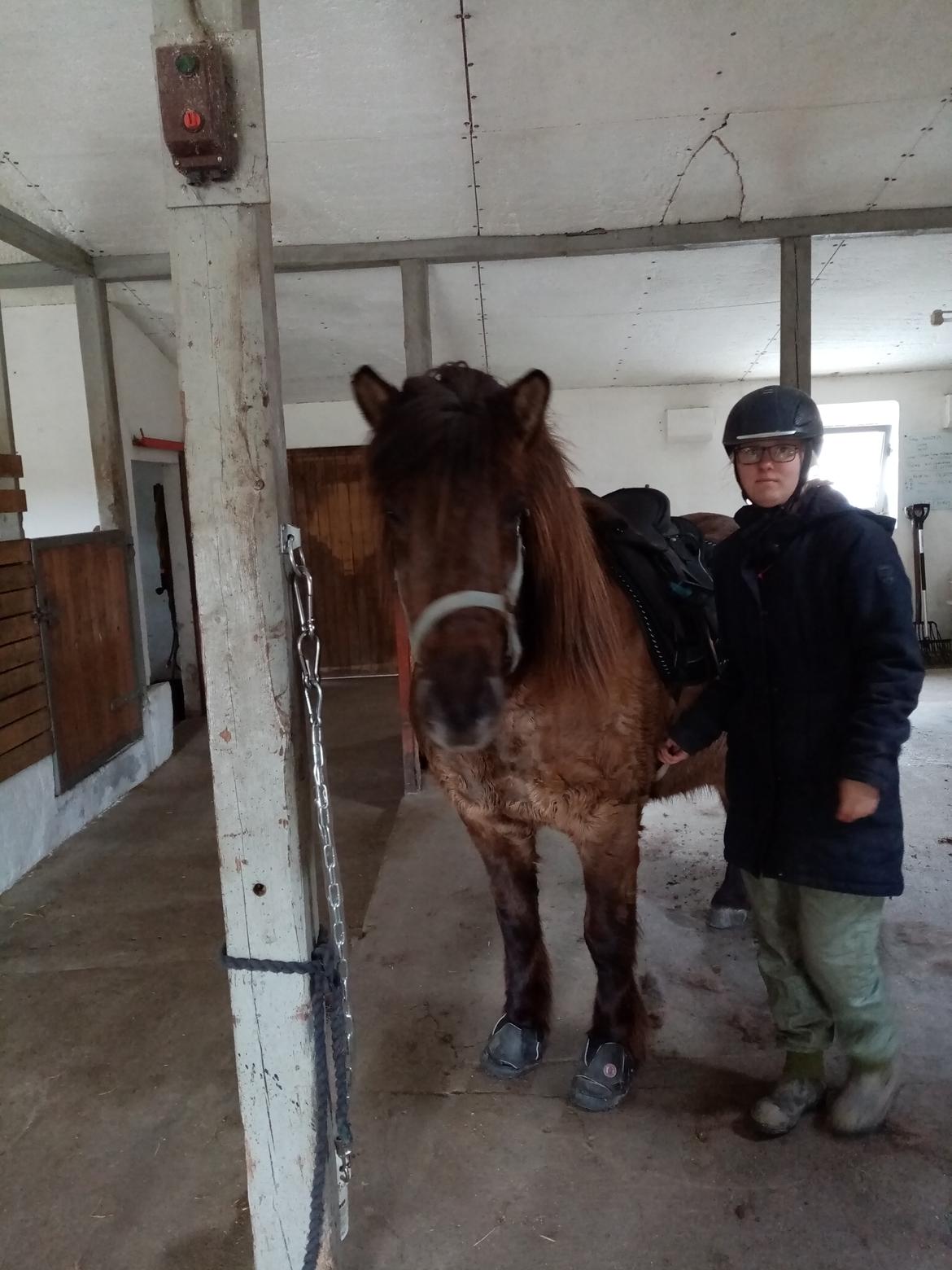 Islænder Skýja hnoðri bækbølling billede 2