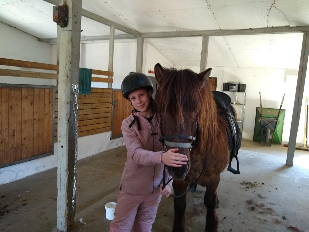 Islænder Skýja hnoðri bækbølling billede 3