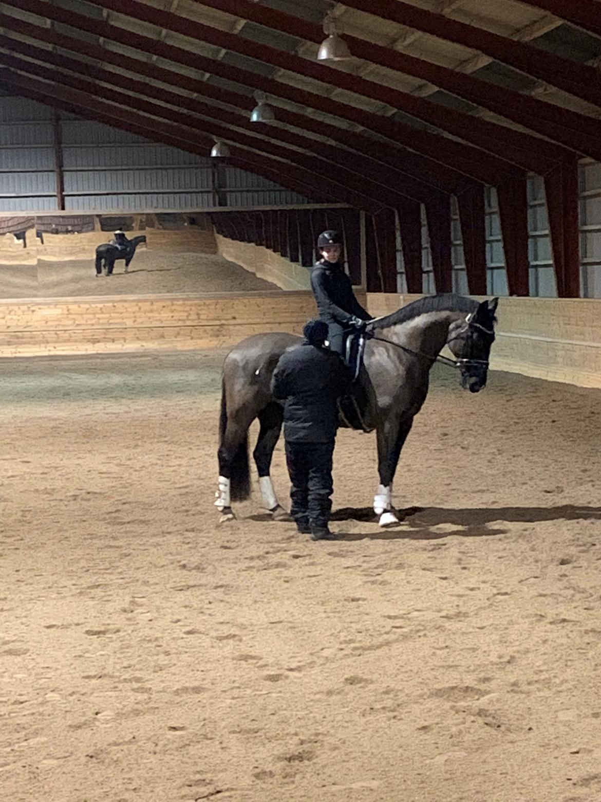 Oldenborg Q-Bec Bennedsgaard (lånehest) billede 18