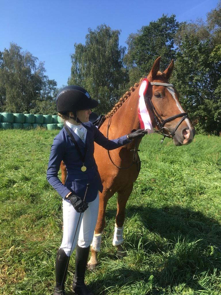 Dansk Varmblod Tovdal's D-Jay billede 6