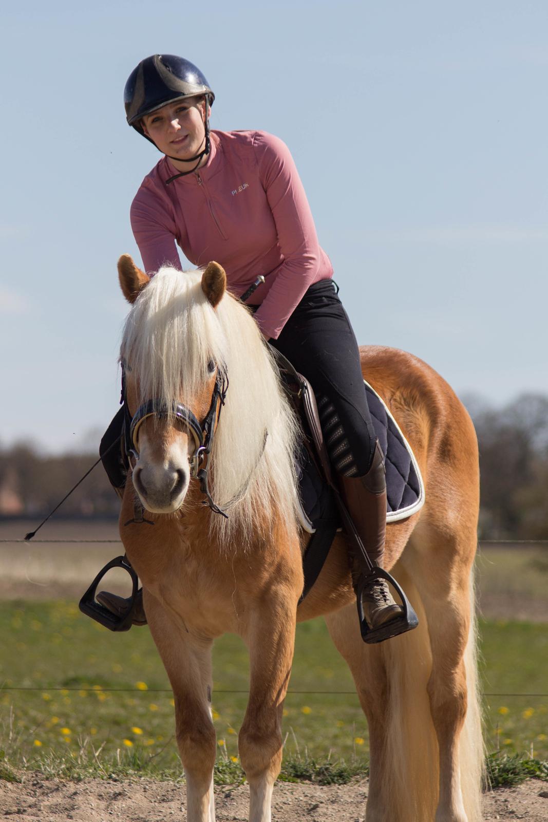 Haflinger Stroller - Hauge Photo 2020 billede 7