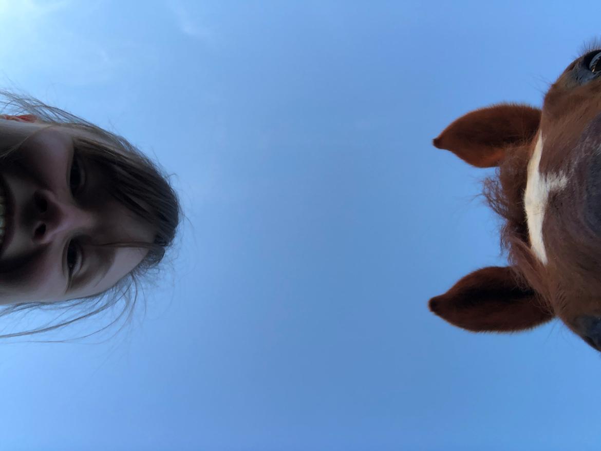 Anden særlig race Cassiopeia billede 14