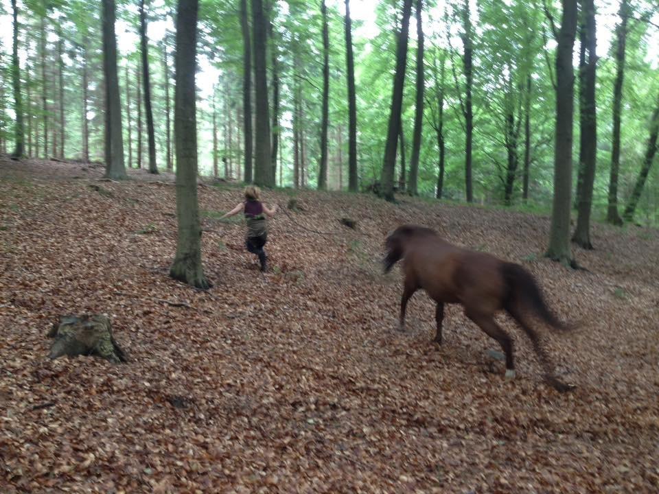 Anden særlig race Cassiopeia billede 15