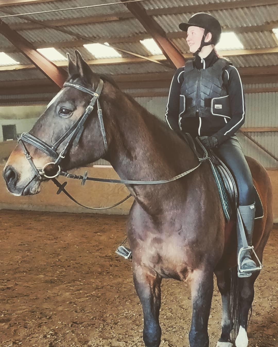 Dansk Varmblod Schelhase's Loke (Snøvsen) billede 8