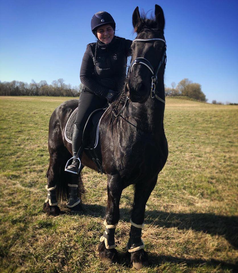 Frieser Stålkærgaards Fritz billede 9