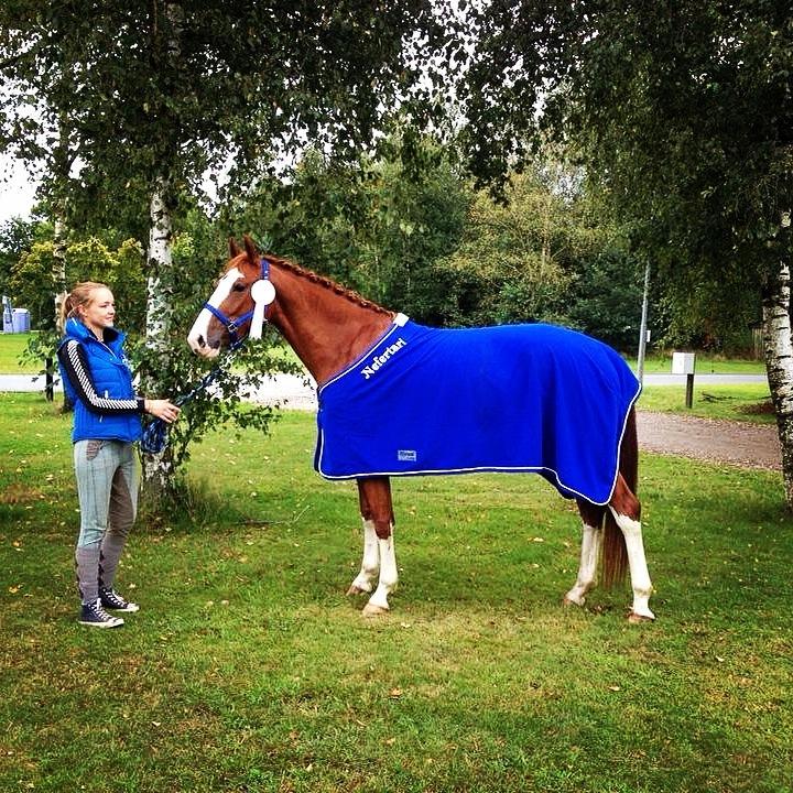 Frederiksborg Nefertari  billede 5