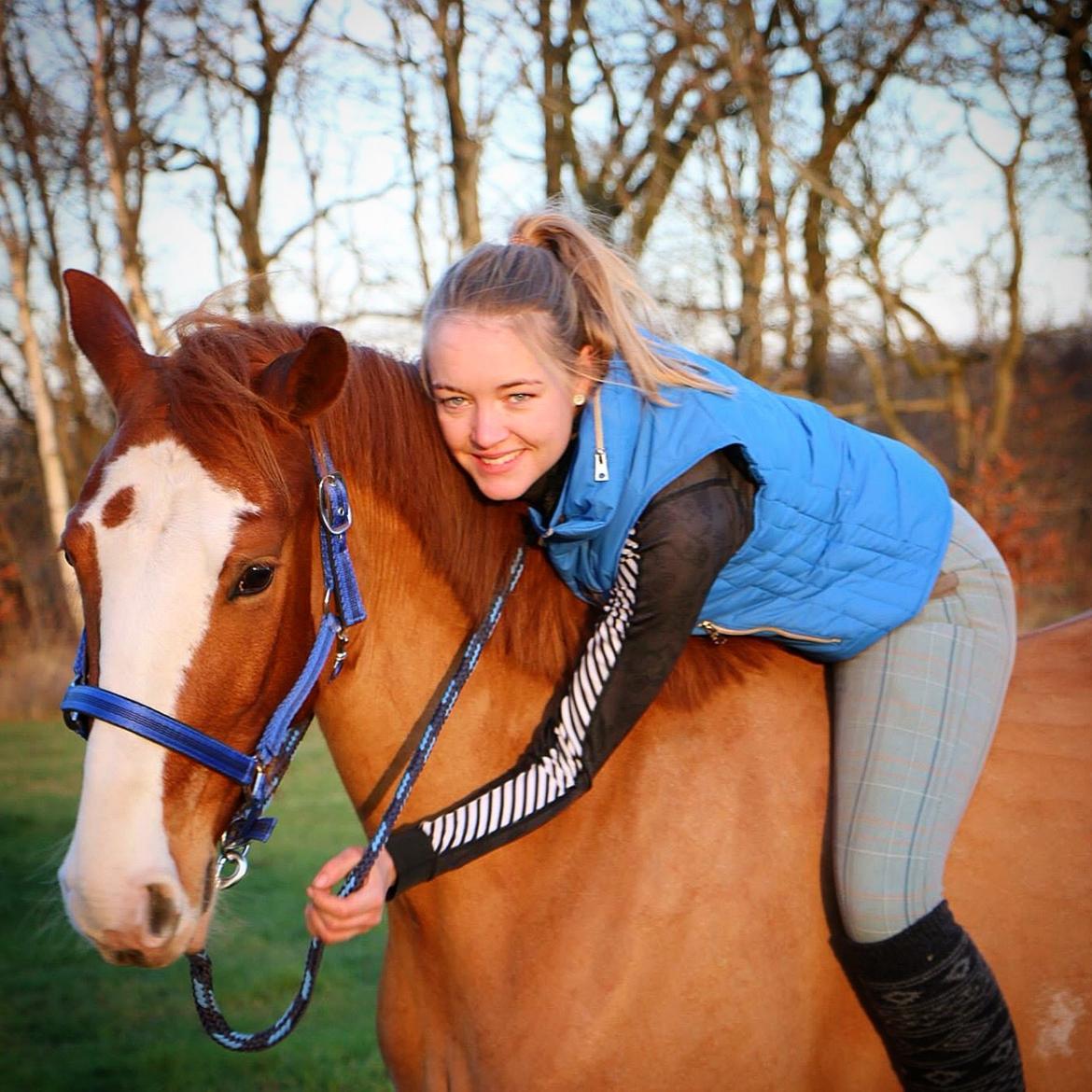Frederiksborg Nefertari  billede 7