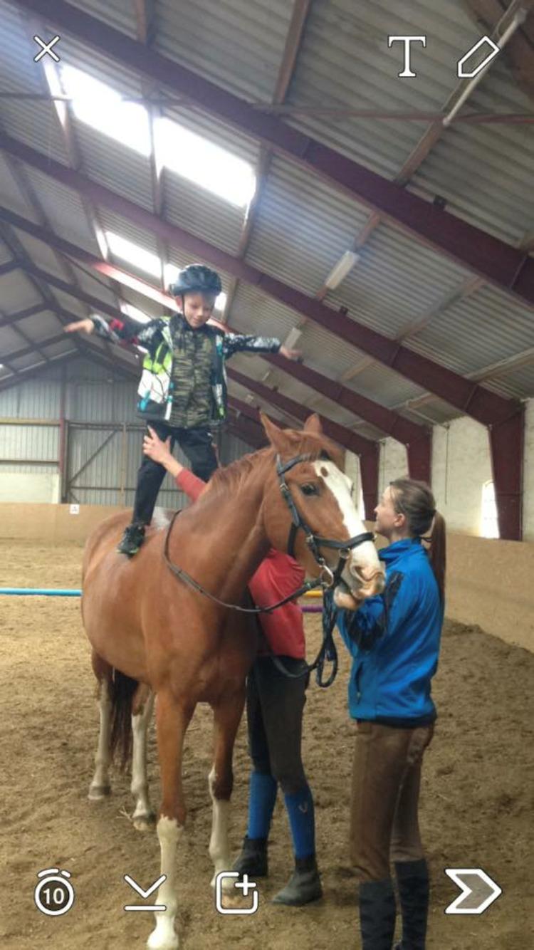 Frederiksborg Nefertari  billede 17