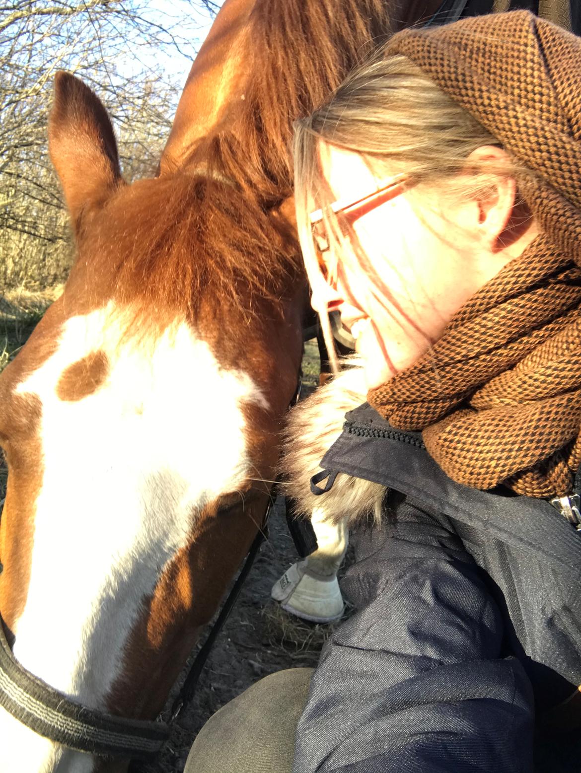Frederiksborg Nefertari  billede 15