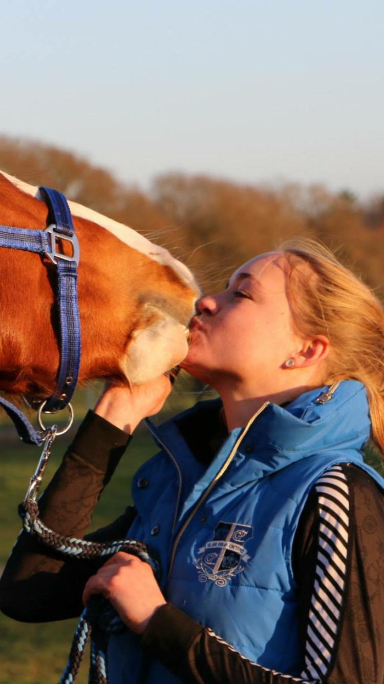 Frederiksborg Nefertari  billede 19